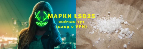 индика Дубна