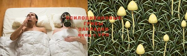 стафф Заволжье